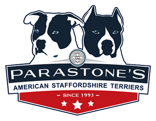 Logo Parastone's